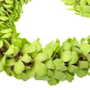 Leis Green