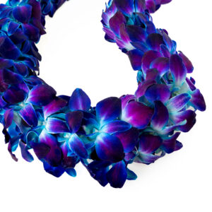 Leis Royal Blue