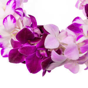 Leis Lilac